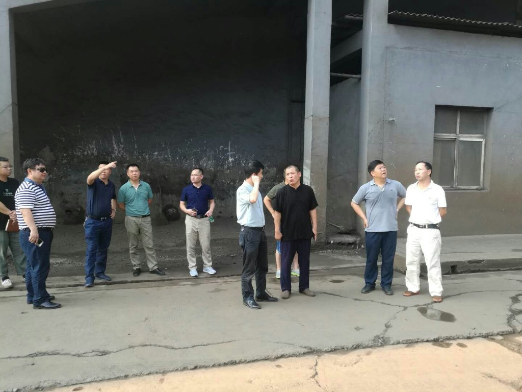 董巍区长率队对省环保督察组交办件整改情况进行督查