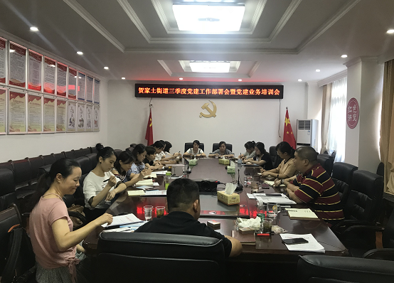 贺家土街道召开三季度党建工作部署会暨党建业务培训会
