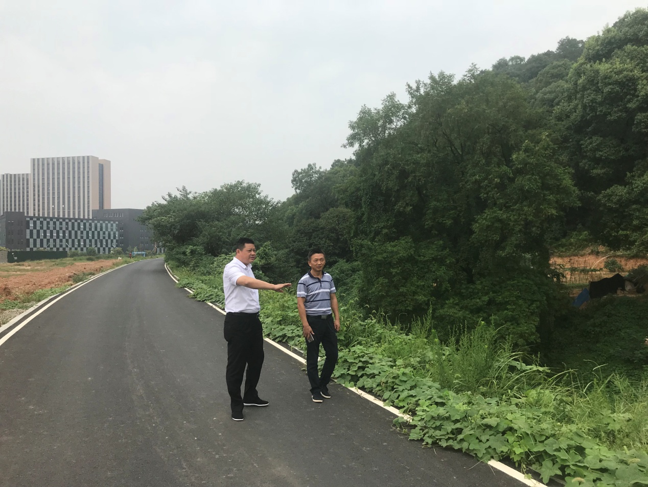 副区长杜益巡查枫溪港