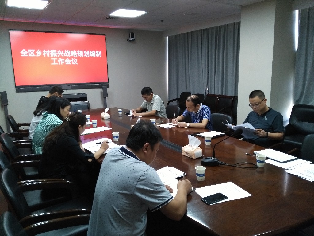 芦淞区召开乡村振兴战略规划编制第二次专题工作会议