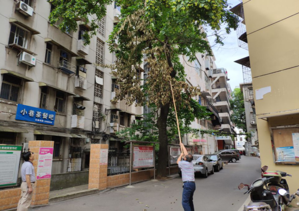 建设街道何家坳社区“UNCLE”黄公益联盟自制工具，齐心协力，消除隐患