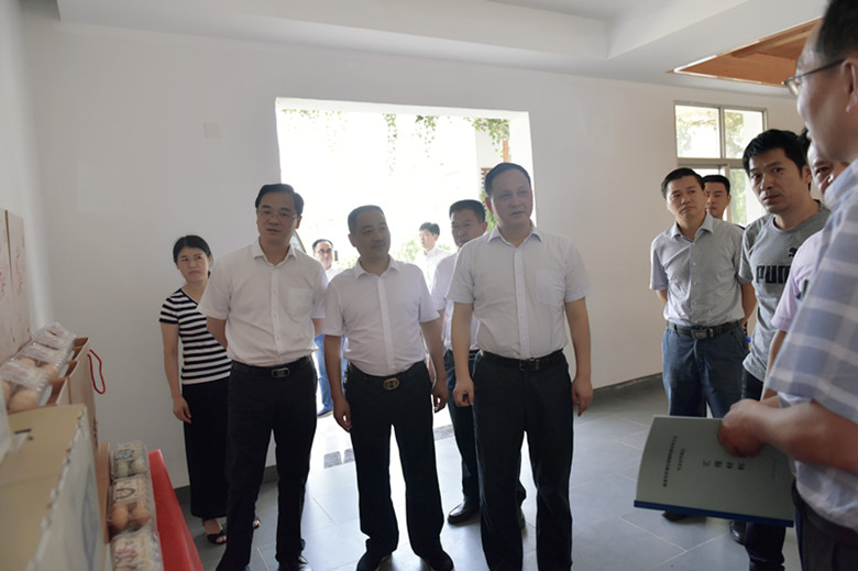 副市长顾峰一行来樟霞村调研指导美丽乡村建设工作