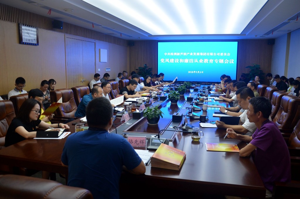 新芦淞集团召开党风建设和廉洁从业教育专题会议