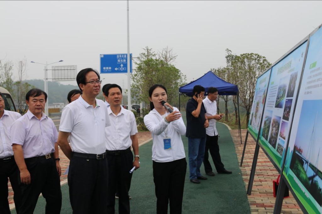 市政协主席蔡溪一行莅临清水塘 考察清水塘生态科技新城建设情况