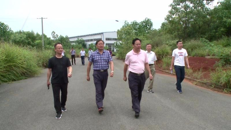 王建之来攸深入企业走访调研 助力企业发展