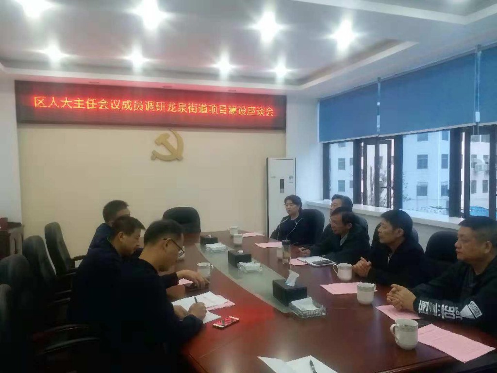 区人大常委会主任肖支前一行调研龙泉街道项目建设