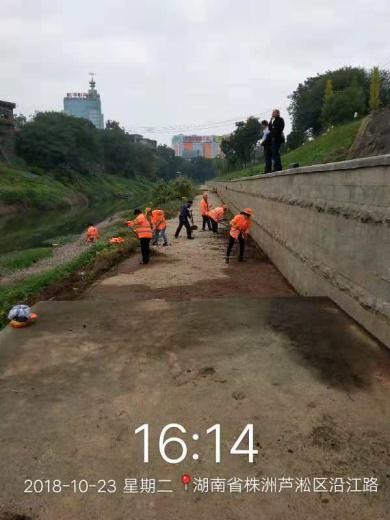 区环卫处全面清理白石港河堤风光带