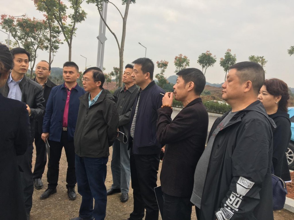 区人大常委会主任肖支前一行调研龙泉街道项目建设