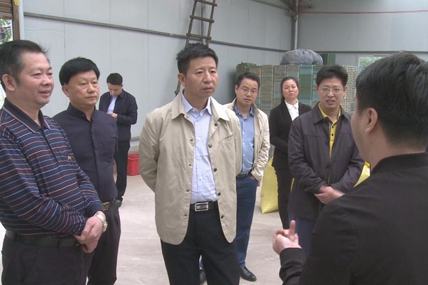 王洪斌来攸调研供销社综合改革工作
