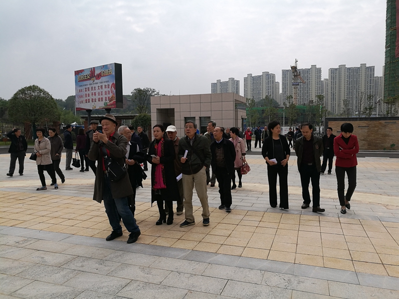 荷塘区开展老干部政情通报会