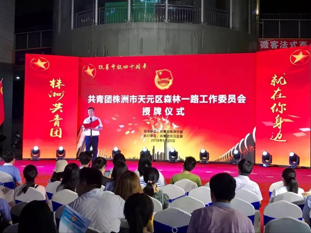 共青团株洲市天元区森林一路 工作委员会授牌仪式