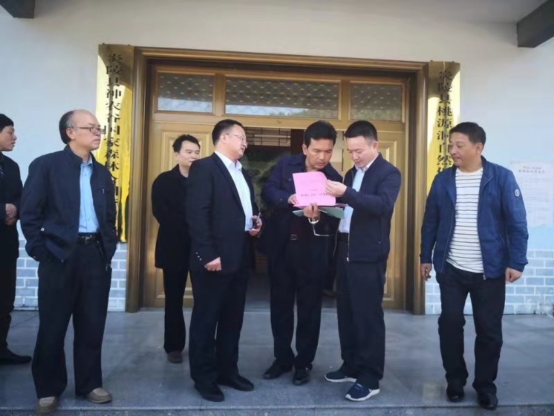 市人民政府副市长何朝晖赴炎陵桃源洞开展自然保护区环境问题督查工作
