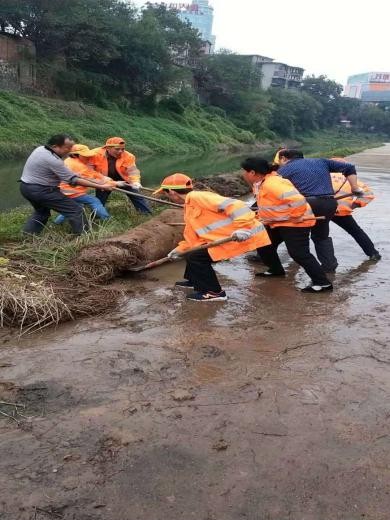 区环卫处全面清理白石港河堤风光带