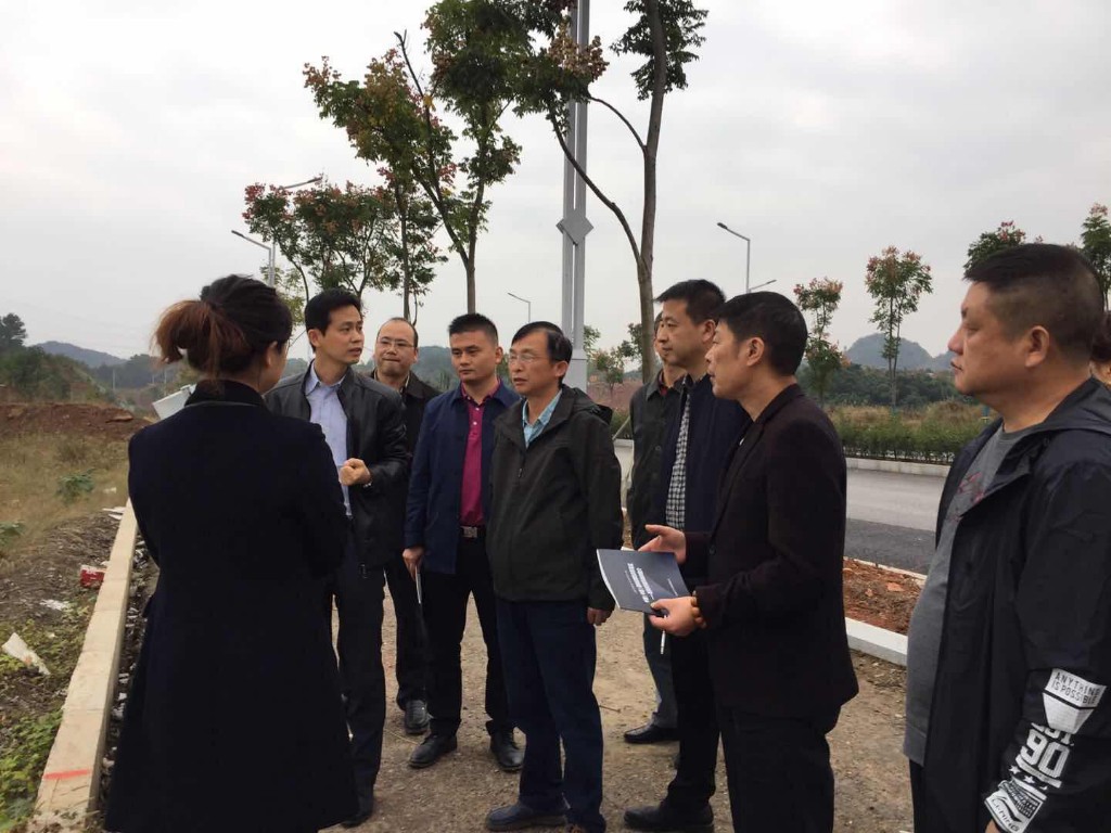 区人大常委会主任肖支前一行调研龙泉街道项目建设