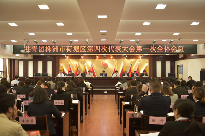 共青团株洲市荷塘区第四次代表大会顺利召开