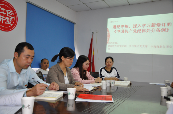 “主题党日 ”活动，为文明城市添彩、扫黑除恶加力
