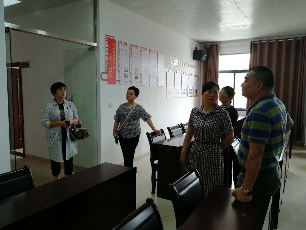 区财政局、卫计局一行实地考察宋家湾村综合服务中心村卫生室建设