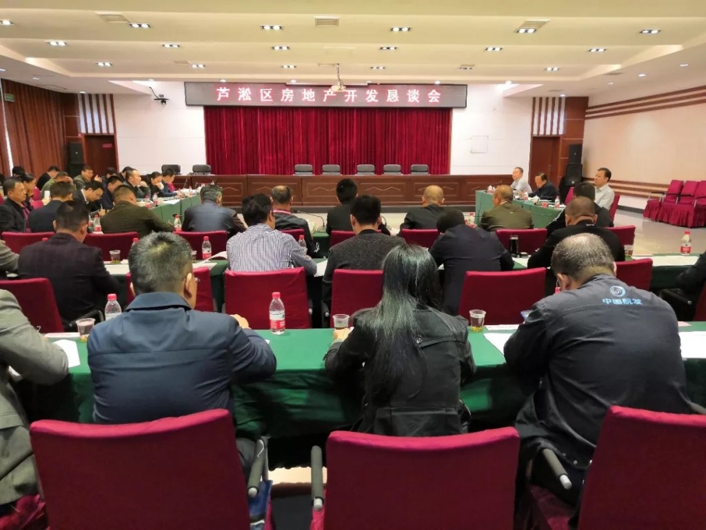 芦淞区召开房地产开发恳谈会