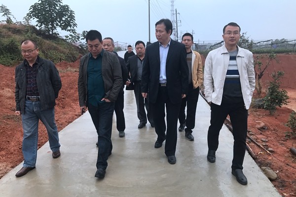 省农委督查组来攸督查种子种苗基地建设项目
