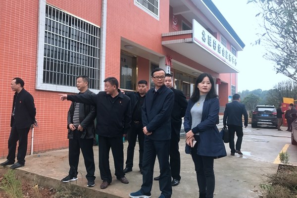 覃万成来攸到网岭镇北联村开展帮扶工作