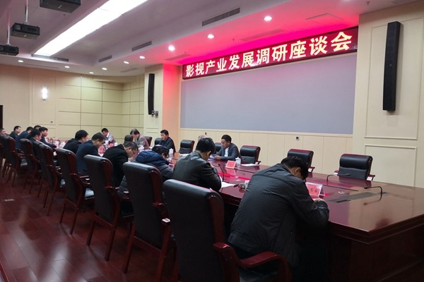 省广播电视局调研组来攸调研影视产业发展和广电工作