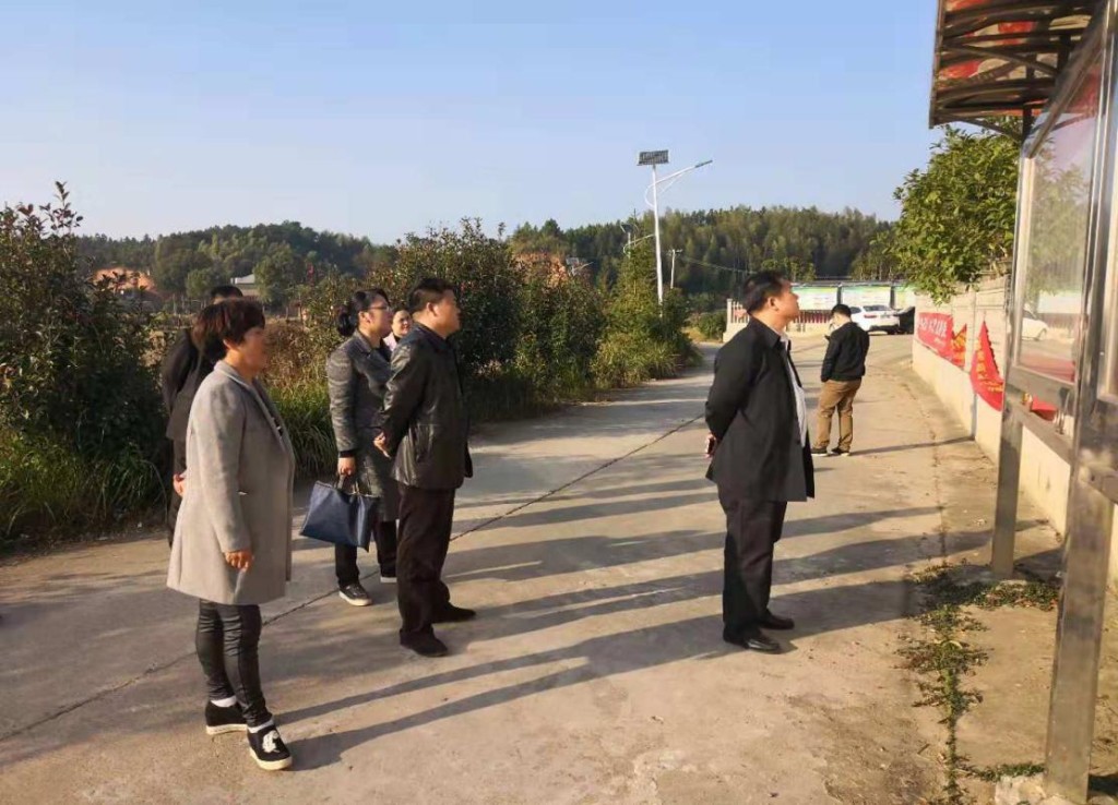 区委副书记蒋峰到白关镇督查指导党建工作
