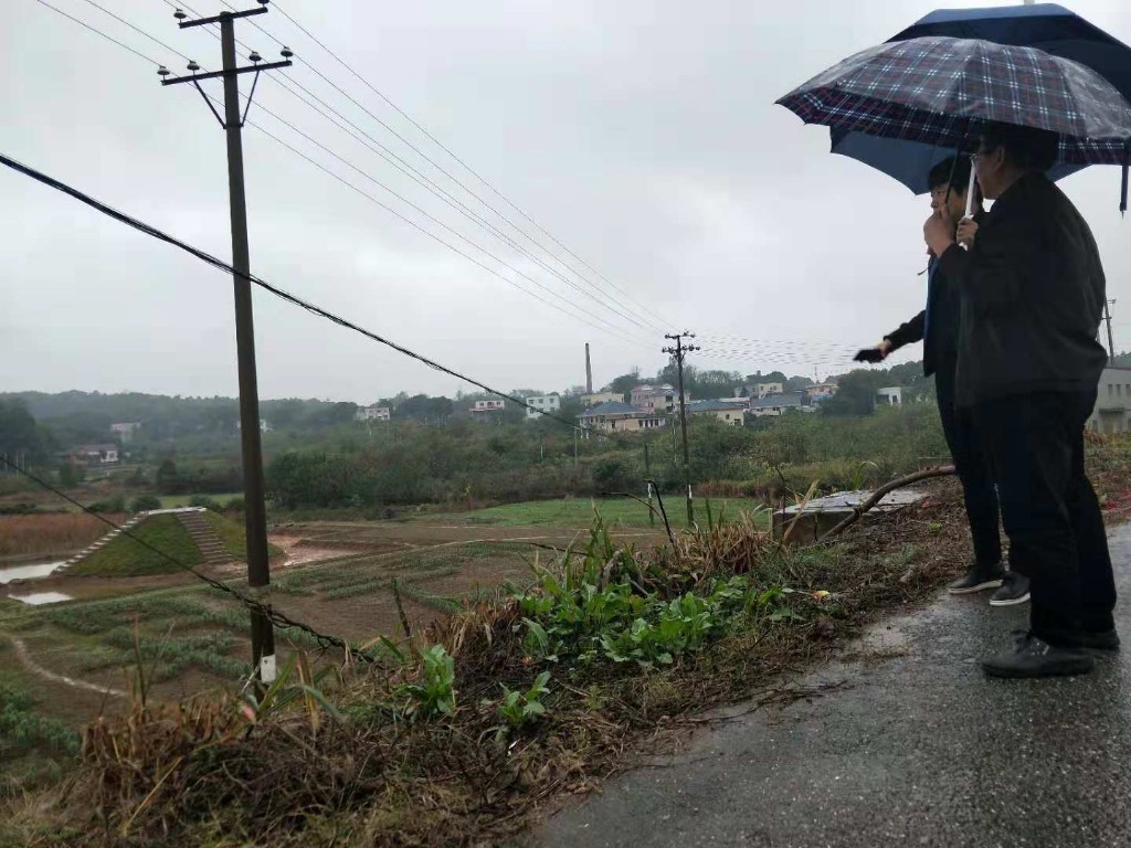 唐仲兴副主任来我区指导种植结构调整及休耕治理工作
