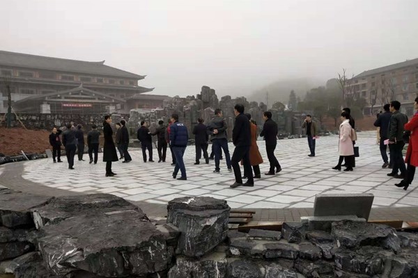 市、县人大代表视察旺景区攻坚战重点项目建设
