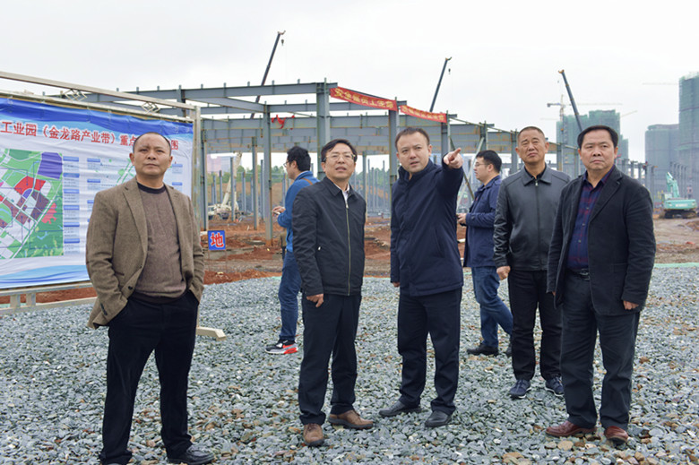 省政协副主席赖明勇来我区视察园区产业项目建设