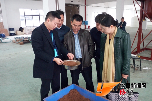 刘秀云调研视察长明新能源产业园项目