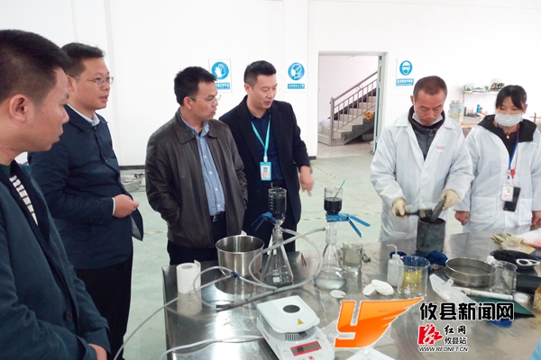 刘秀云调研视察长明新能源产业园项目