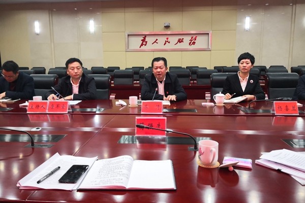 省广播电视局调研组来攸调研影视产业发展和广电工作