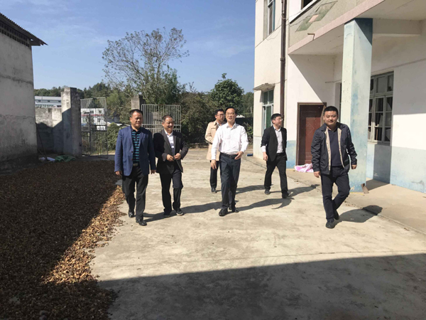 王利波督查绿心地区工业项目退出工作
