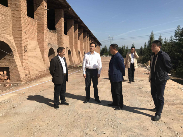 王利波督查绿心地区工业项目退出工作