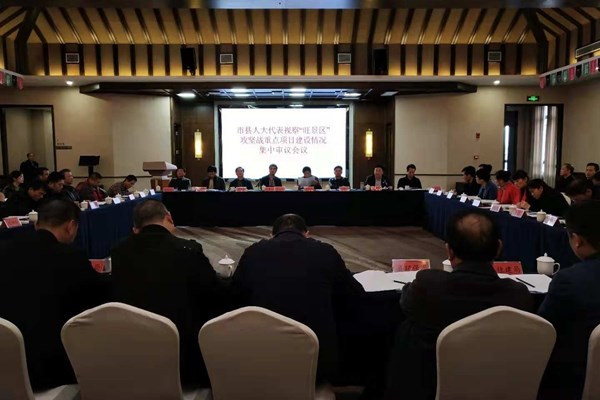 市、县人大代表视察旺景区攻坚战重点项目建设