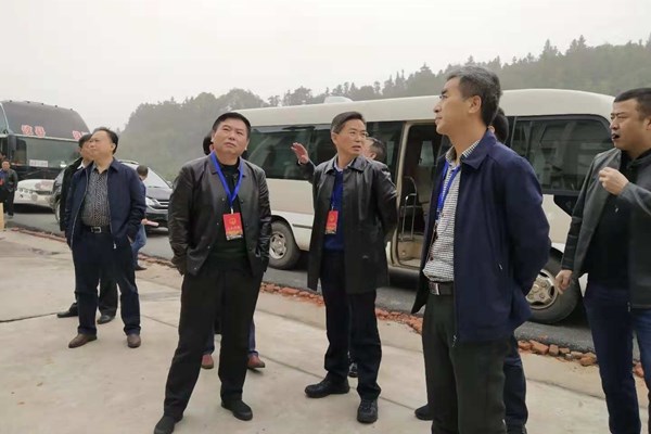 市、县人大代表视察旺景区攻坚战重点项目建设