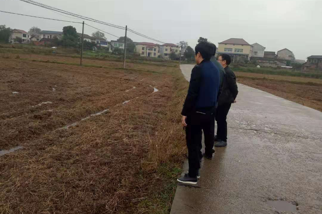 唐仲兴副主任来我区指导种植结构调整及休耕治理工作