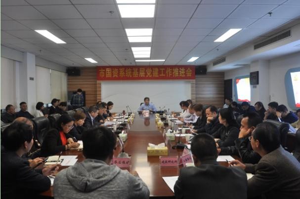 市国资委召开系统基层党建工作推进会