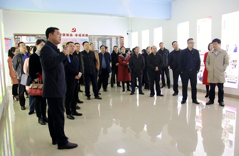 “城乡统筹•幸福株洲”创新社会治理系列行动现场推进会在我区召开