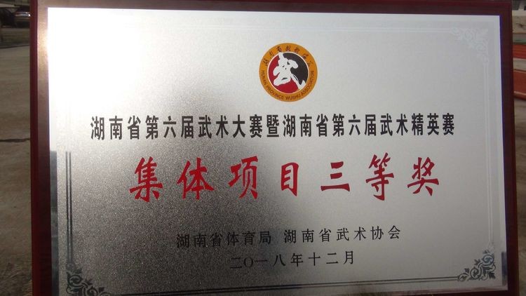雷打石学校在湖南省武术大赛中喜获佳绩