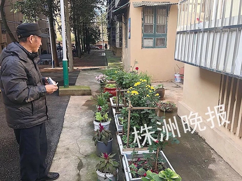 [株洲晚报]系列报道10：模具厂小区干净整洁，"最美走廊"美得灵动…原来是靠这一招！