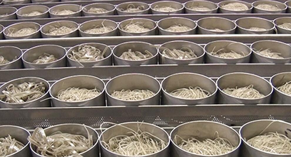 红薯加工 带农致富
