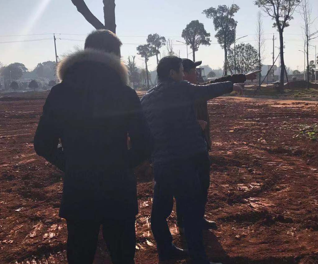 万丰临时安置过渡棚拆迁后生态恢复