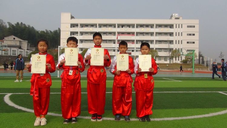 雷打石学校在湖南省武术大赛中喜获佳绩