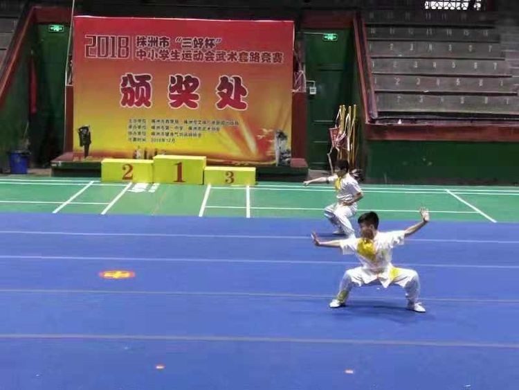 雷打石学校在湖南省武术大赛中喜获佳绩