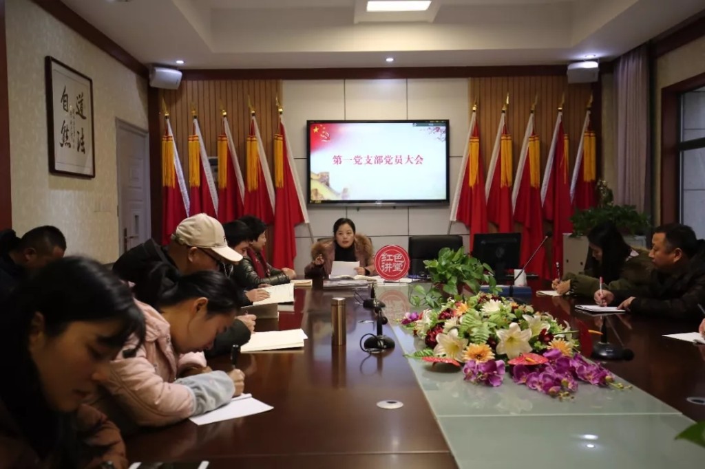 对标“五化”建设 丰盈主题党日