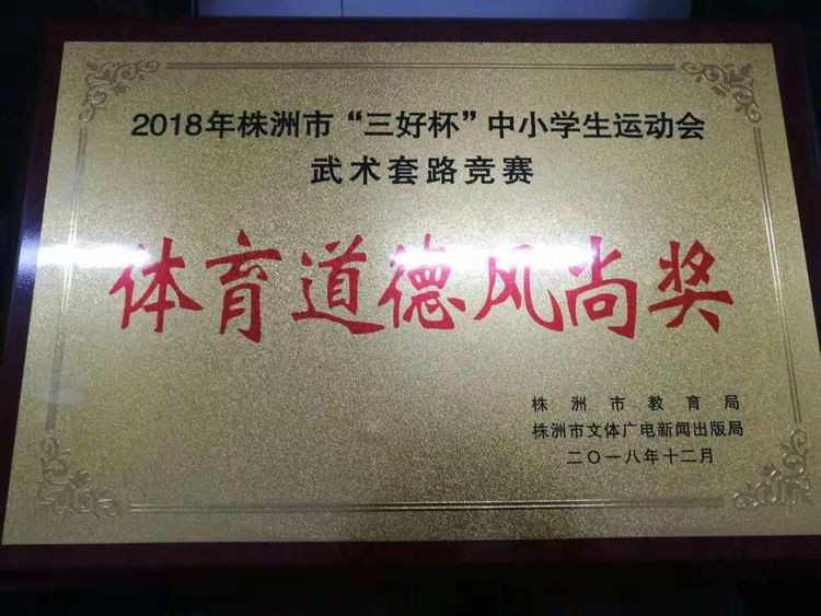雷打石学校在湖南省武术大赛中喜获佳绩