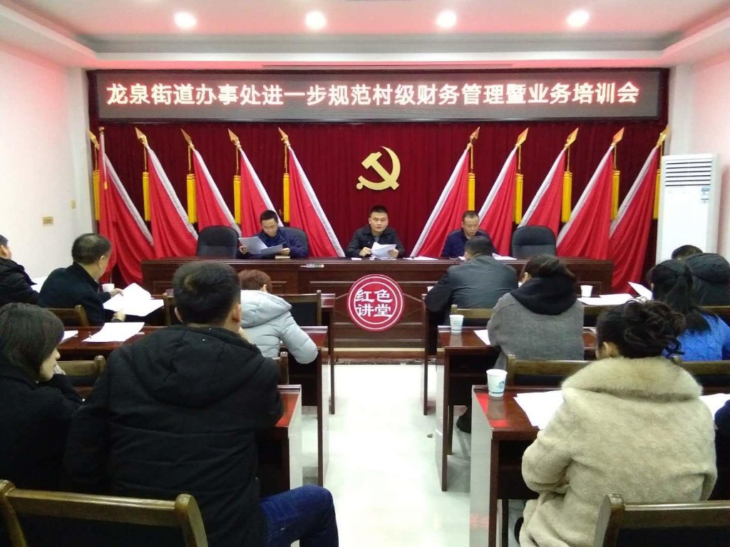 龙泉街道扎实做好村级财务收支情况专项审计准备工作