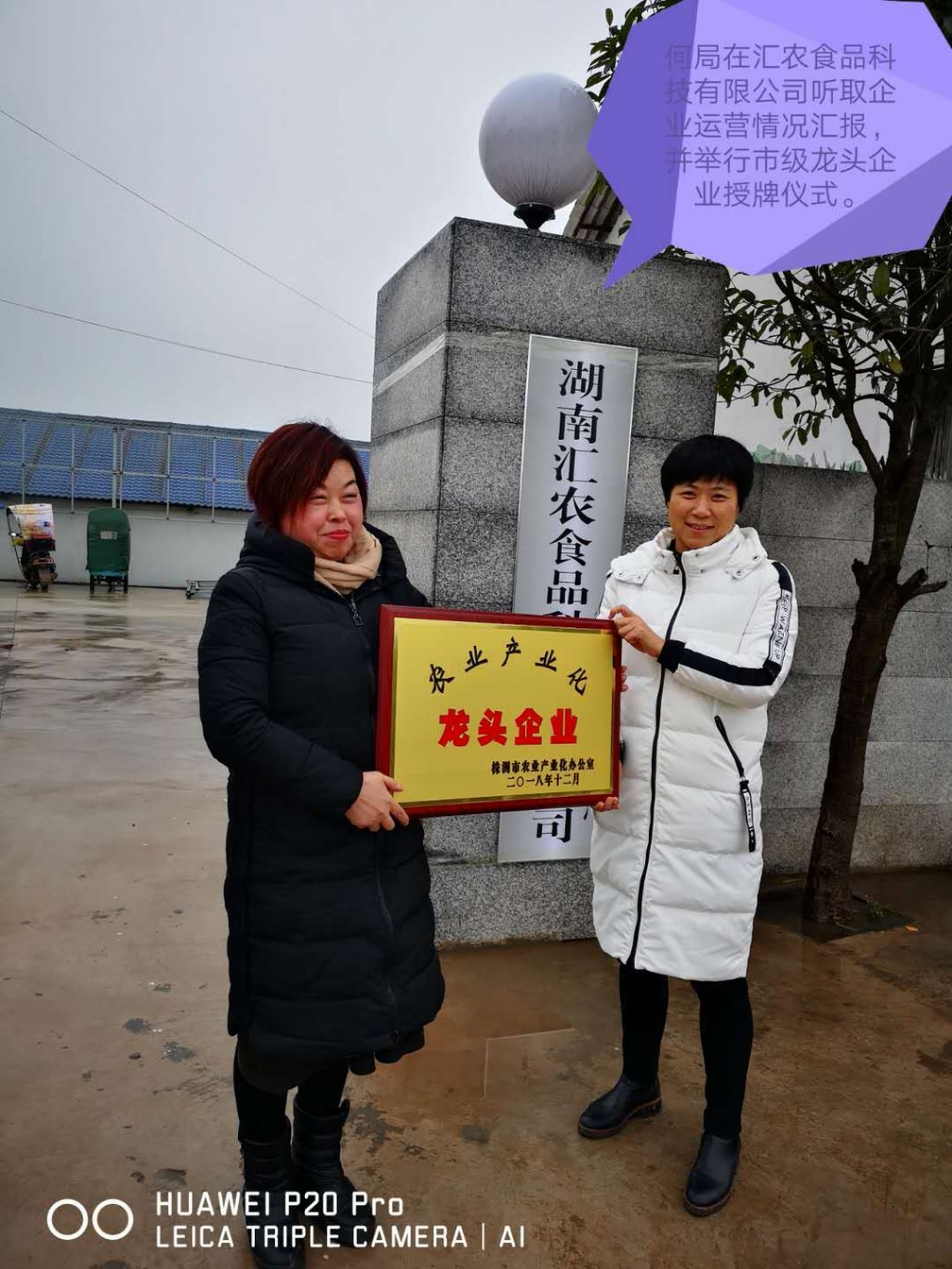 农头企业授牌引领农业产业新发展