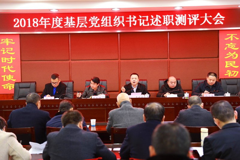 市城管局召开基层党组织书记述职评议大会